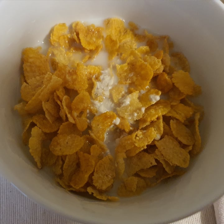 photo of Riso Scotti Chiccolat Riso Senza Zuccheri Aggiunti BIO shared by @chiaraar on  17 Aug 2024 - review