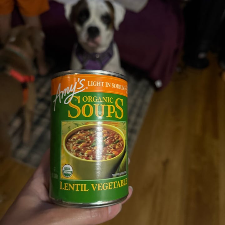 photo of Amy’s Organic Lentil vegetable shared by @crazeedeysi on  20 Sep 2025 - review