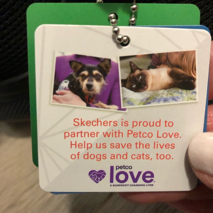 photo of Bobs by Sketchers Visionary Essence shared by @sueprozak on  01 Jun 2024 - review