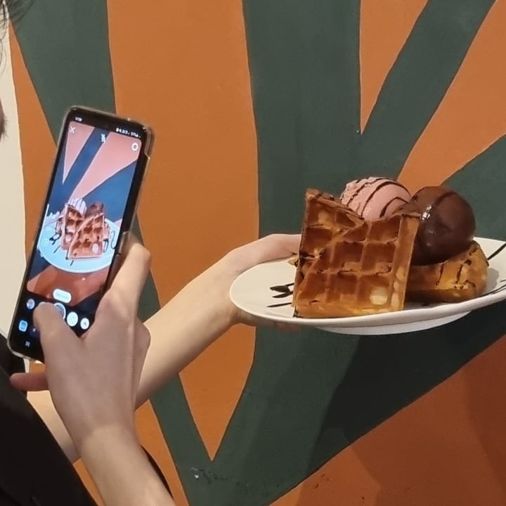 photo of WS Deli Experience Store Waffle and 2 flavored snowballs shared by @xxarisu on  14 Sep 2023 - review