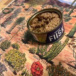 FIISK