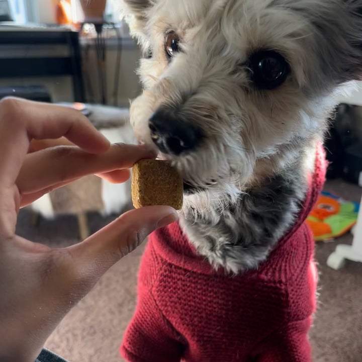 photo of Wild Earth Superfood Dog Treats (Peanut Butter Flavor) shared by @skeeter on  08 Dec 2023 - review