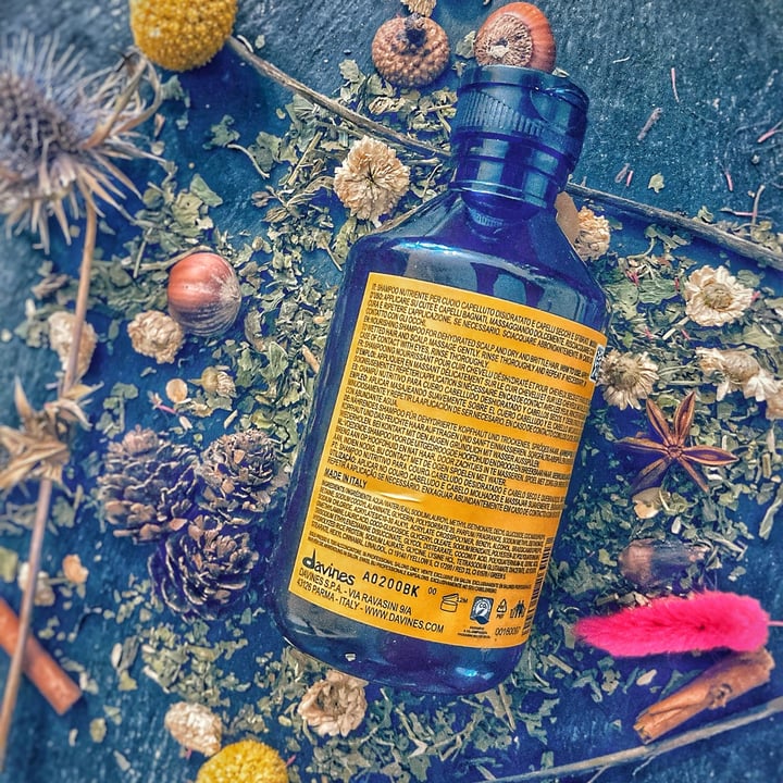 photo of Davines NaturalTech • Nourishing Shampoo shared by @federicathewitch on  23 Jul 2024 - review