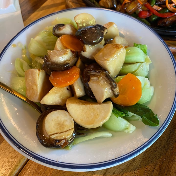 photo of Green Sprouts Vegetarian Mixed Mushrooms With Bok Choy shared by @blacklilyleaf on  16 Apr 2024 - review