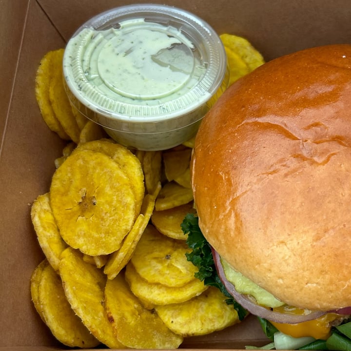 photo of Aguacate Sanctuary of Love Plantain chips and cilantro mayo shared by @natsveganfood on  15 May 2024 - review