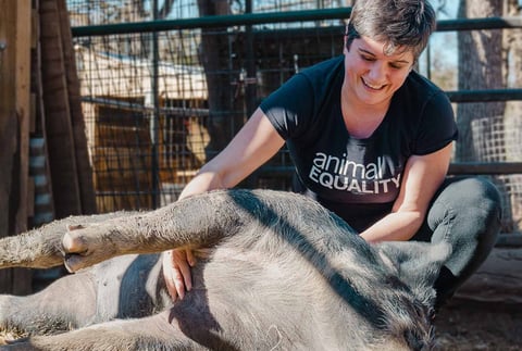 World Animal Day 2025: Support Organizations Making a Difference
