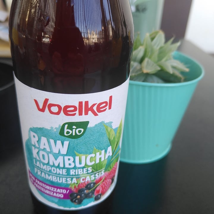 photo of Voelkel raw kombucha lampone e ribes shared by @merry-cherry-veg on  09 Apr 2024 - review