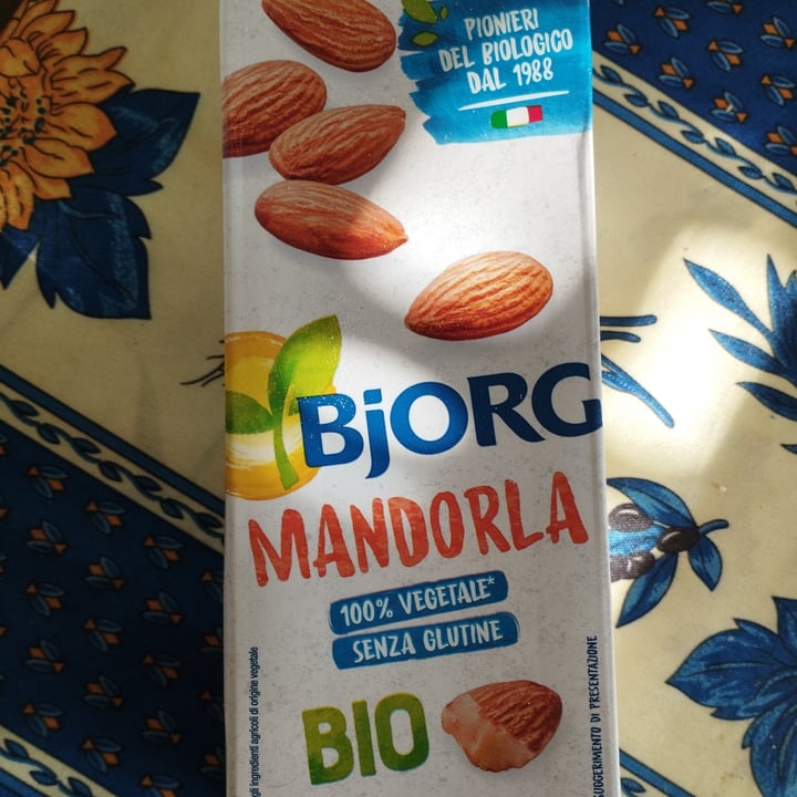 photo of Bjorg Latte di mandorla shared by @lillieconnolly on  27 Aug 2023 - review