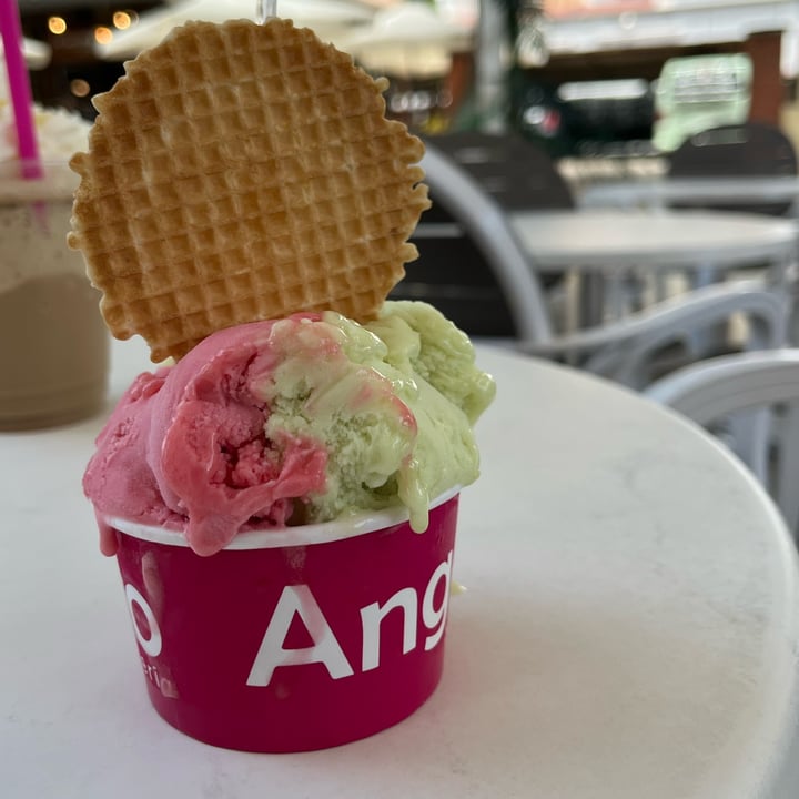 photo of Heladería Angelo helado De Sandía Y Manzana Verde shared by @albibus on  14 Jul 2024 - review