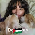 @chihuahua-mama profile image