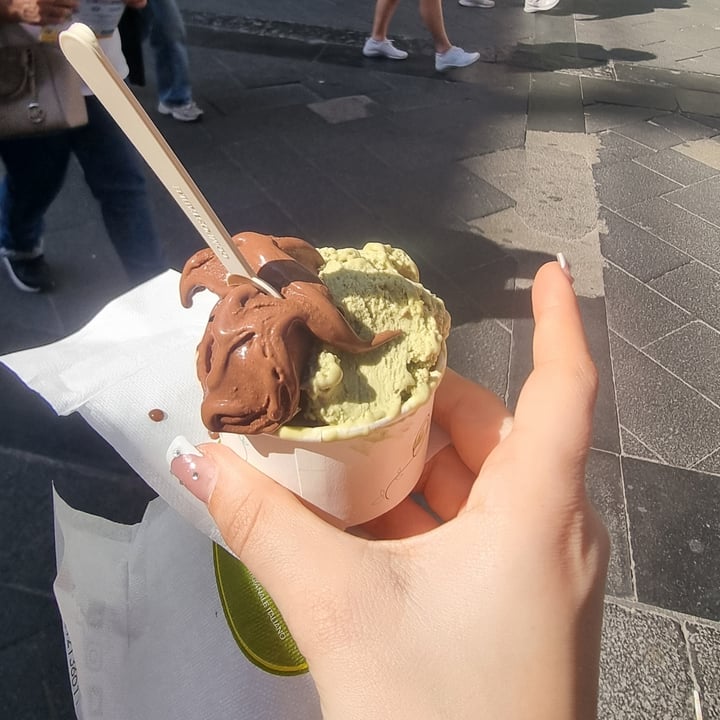 photo of Cento gelato artigianale italiano Gelato shared by @katiamarl on  12 Apr 2024 - review