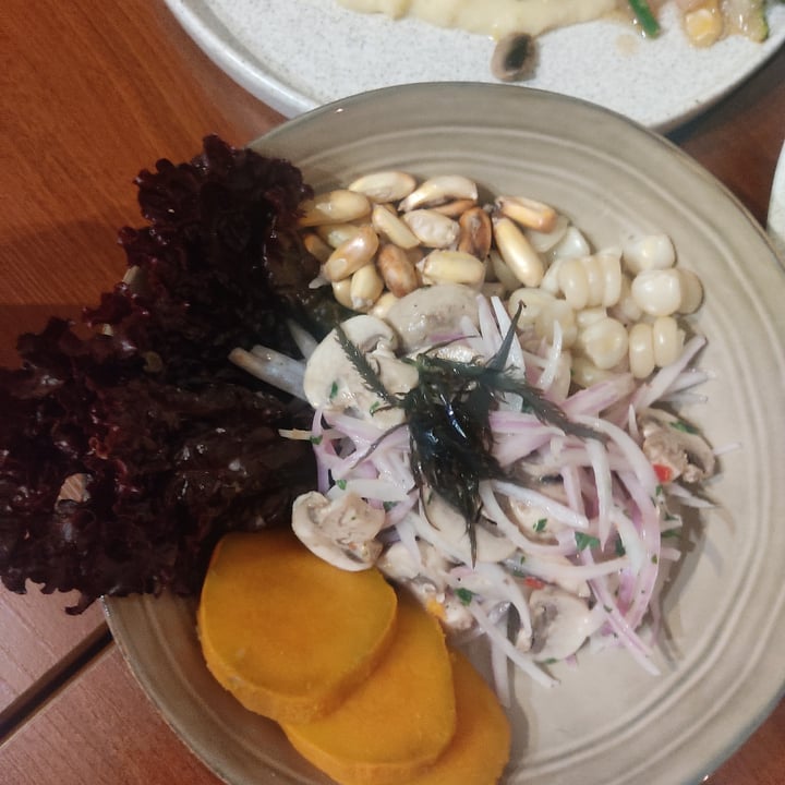photo of Florencia - Vegan Kitchen ceviche vegano shared by @vegetabelle on  28 Sep 2024 - review