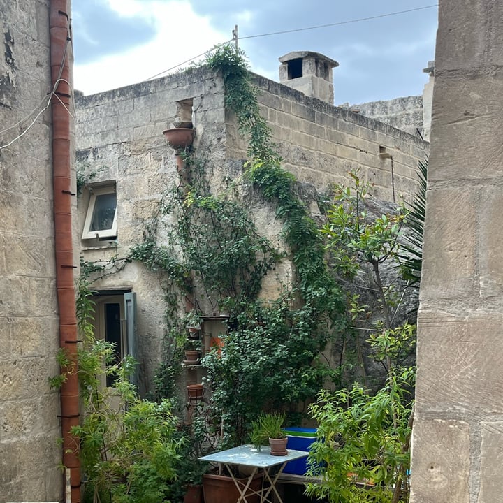 photo of zipa cafè estratto vitaminico shared by @miba on  12 Oct 2025 - review