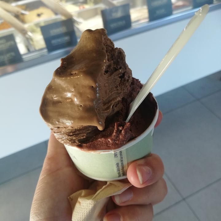 photo of Puro & Bio Quinto di Treviso Gelato Al Brownie Vegan shared by @littlepoppyseed on  21 Aug 2023 - review