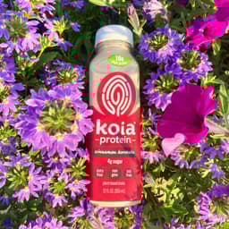 Koia