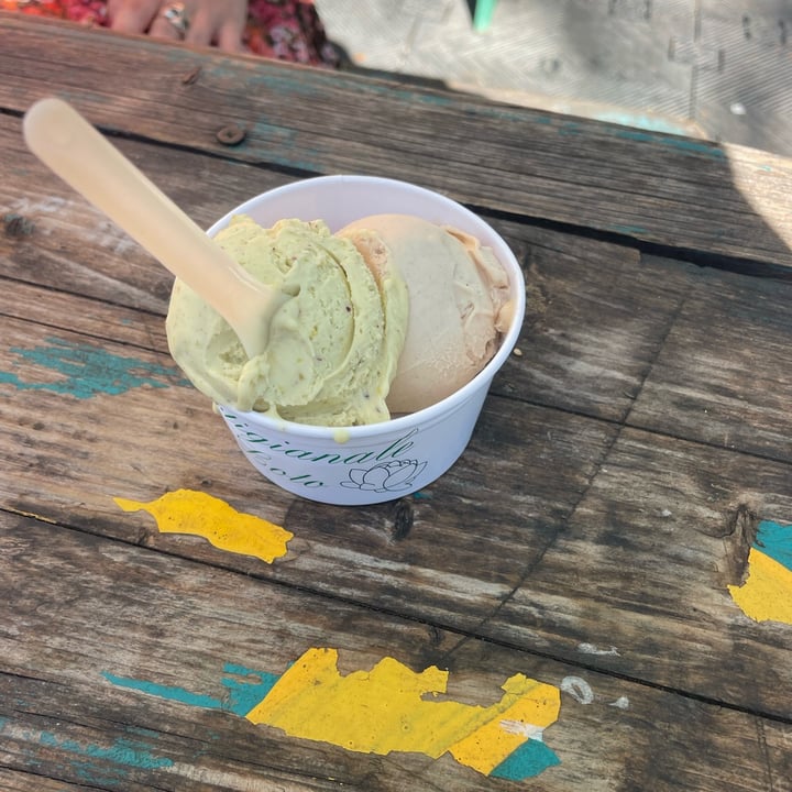 photo of Gelateria Fior di Loto Gelato vegan pistacchio e nocciola shared by @vittolovestahini on  31 Aug 2025 - review