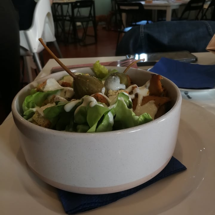 photo of Lo Fai Caesar salad shared by @markmv75 on  14 Apr 2024 - review