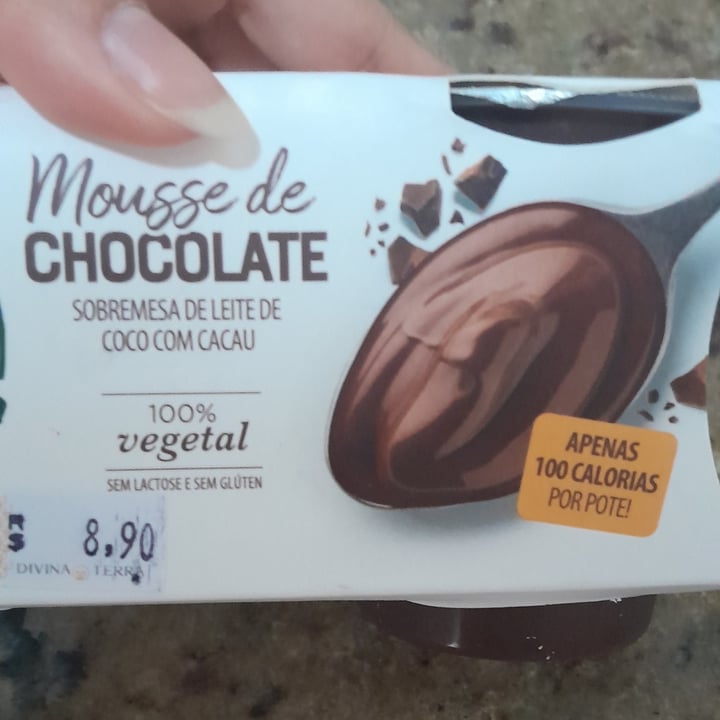 photo of Vida Veg Mousse de cacau e leite de coco shared by @arianev3g on  05 Oct 2024 - review