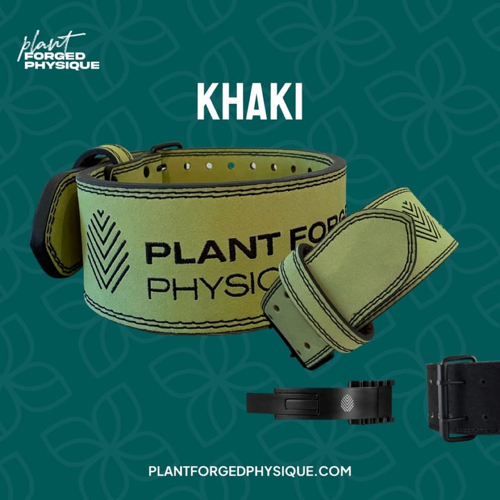 Vegan 2024 weightlifting belt