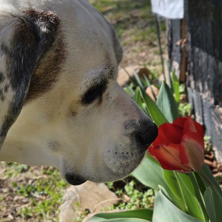 photo shared by @littlebuckets on  28 Mar 2025 - post