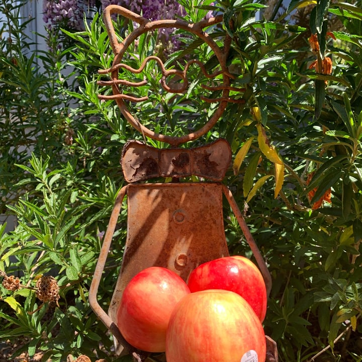 photo of Joyfully grown organic honeycrisp apple shared by @unejanie on  19 Apr 2024 - review