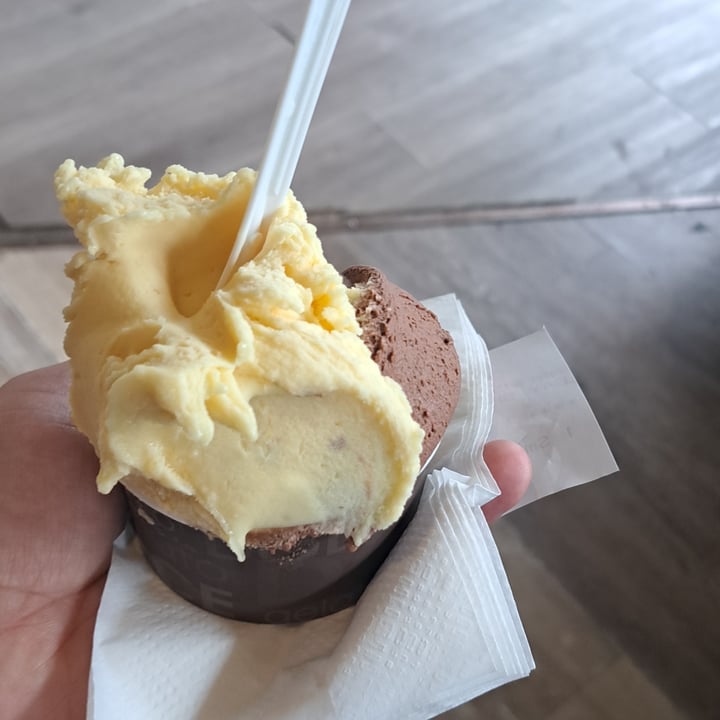 photo of Dolce Gelato Dark Chocolate Sorbetto shared by @svraphael88 on  20 Sep 2025 - review