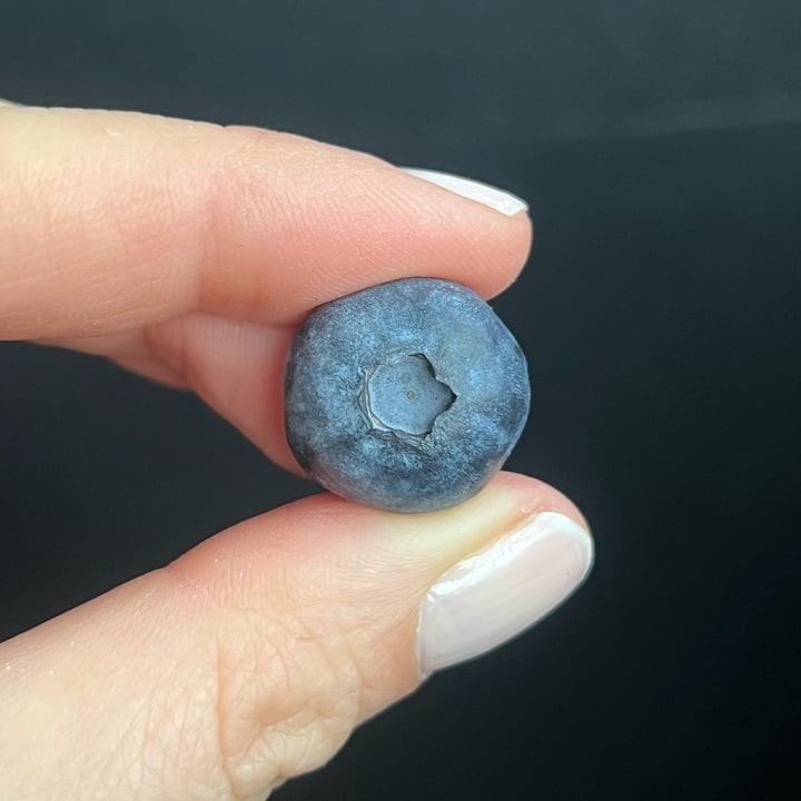 photo of southern sun Bluberries shared by @lauradeluca on  17 Dec 2024 - review