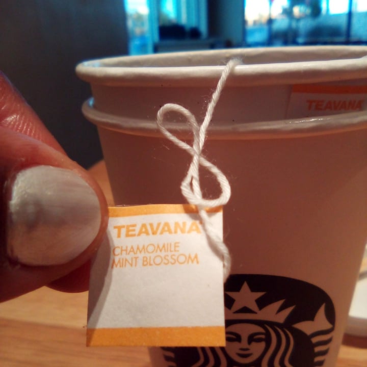 photo of Teavana chamomile mint blossom shared by @x9flourishing on  12 Jan 2025 - review
