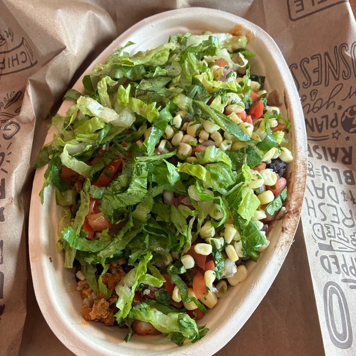 photo of Chipotle Mexican Grill Vegan Bowl shared by @heartartichokehearts on  09 Oct 2025 - review