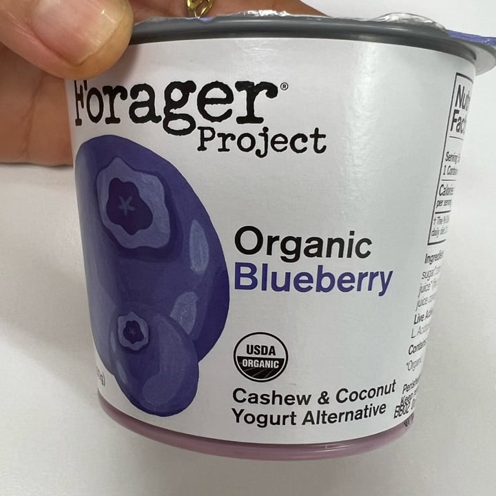 photo of Forager Project Blueberry Cashewmilk Yogurt shared by @chefchrissy68 on  15 Sep 2025 - review
