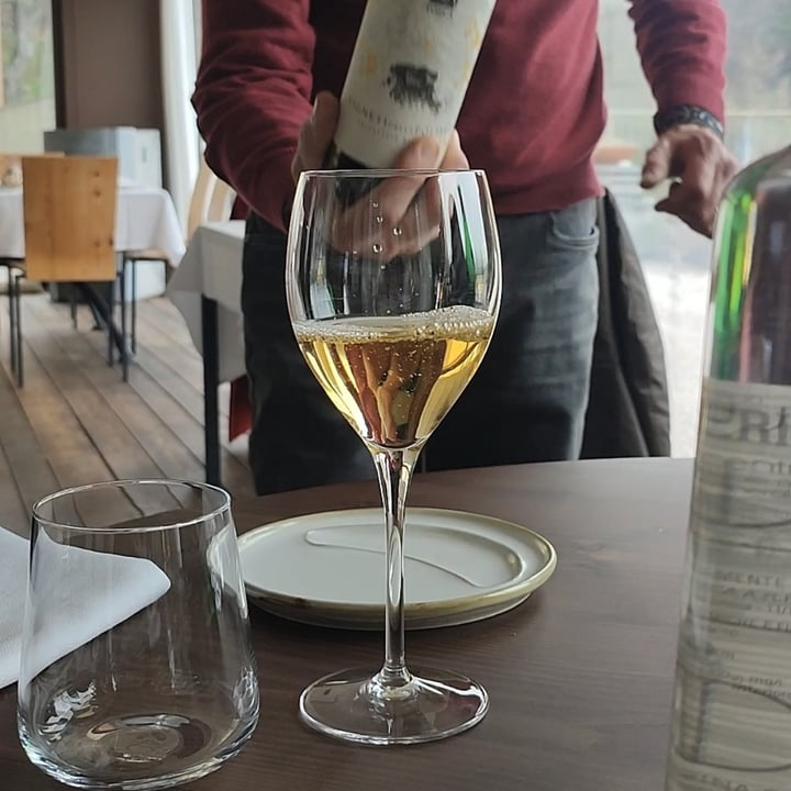 photo of Polisena L'Altro Agriturismo Calice di vino bianco shared by @monica86 on  23 Apr 2024 - review