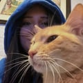 @vedevegan profile image