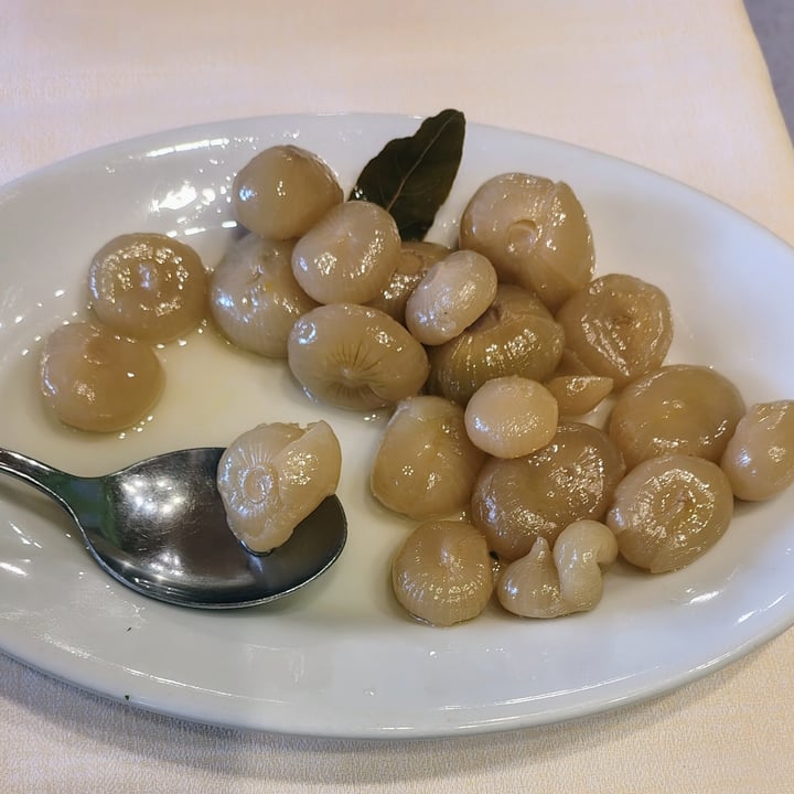 photo of The Refuge of the Boar antipasto vegetale shared by @joellevd on  17 Aug 2025 - review