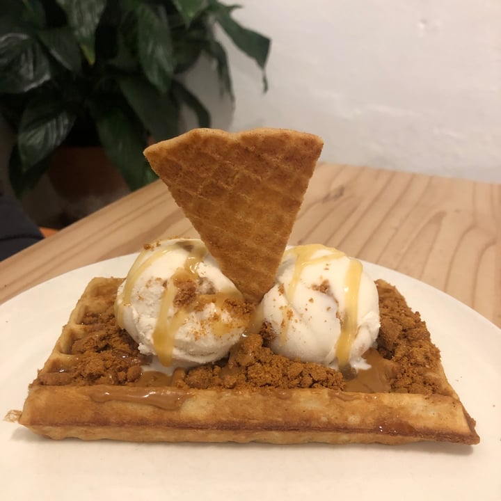 photo of ditto Vegan Ice Cream biscoff waffle shared by @mothercitymatt on  03 Sep 2023 - review