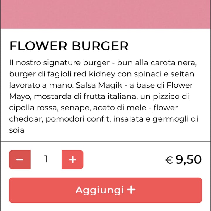 photo of Flower Burger Flower Burger shared by @anto- on  24 May 2024 - review