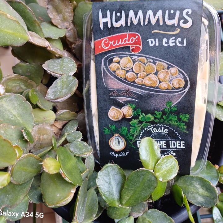 photo of Parma is Hummus di ceci shared by @miocillo0 on  08 Oct 2025 - review
