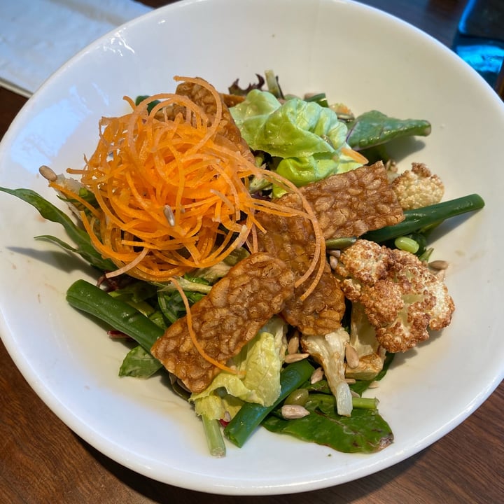 photo of Neko Neko Newtown Vegan Tempeh Tofu Salad shared by @blacklilyleaf on  31 Oct 2023 - review