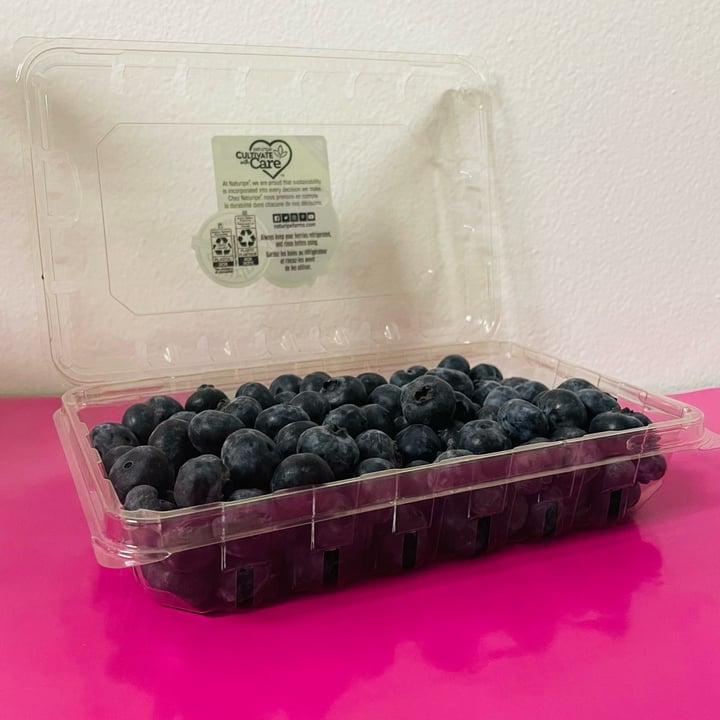 photo of Naturipe Farmed Fresh  ORGANIC BIOLOGIQUE Blueberries Bleuets shared by @teddyapple on  25 Mar 2024 - review