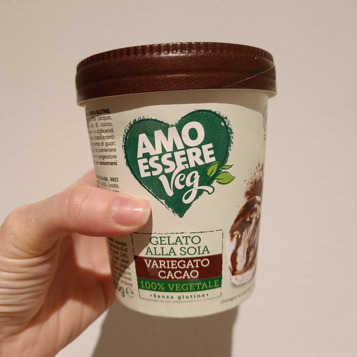photo of Amo Essere Veg gelato alla soia cioccolato shared by @chiarett on  17 Aug 2023 - review