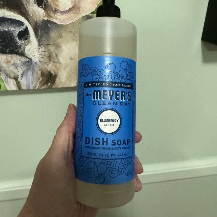 photo of Mrs. Meyer's Clean Day Dish Soap Bluebell Scent shared by @onehungryvegan on  07 Oct 2025 - review