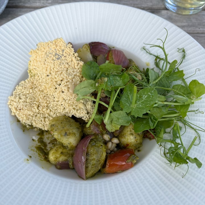 photo of The Dinorben Arms Basil Pesto And Spinach Gnocchi shared by @debbiepinson on  27 Aug 2025 - review