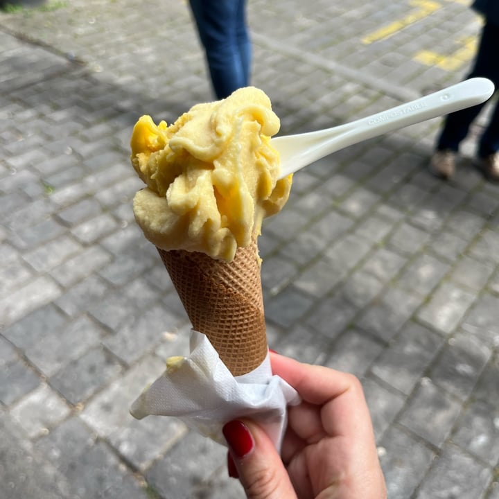 photo of La Golosa Gelato gelato maracuja mango shared by @pattini on  07 May 2024 - review