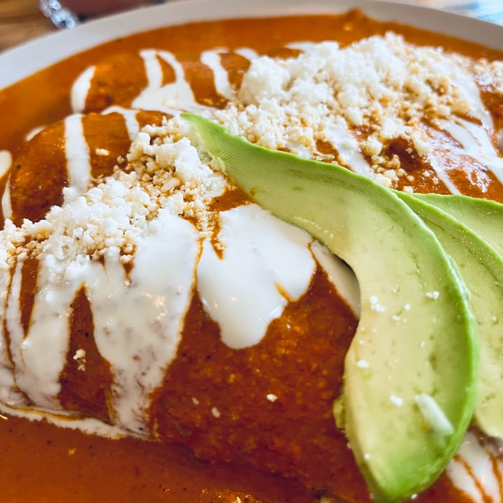 photo of Mictlan Antojitos Veganos Chiltlaxcalli Enchiladas de champiñones shared by @nancy on  19 Apr 2024 - review