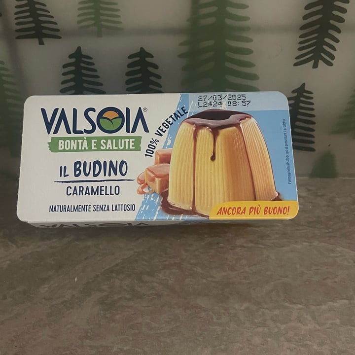 photo of Valsoia Il budino caramello shared by @elenaandrea on  11 Nov 2024 - review