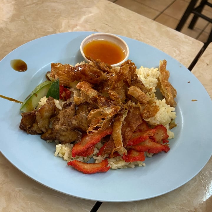 photo of Shui Xian Su Shi Yuan Vegetarian Vegan Chicken Rice shared by @fxk on  30 Apr 2024 - review