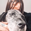 @vforvegan profile image