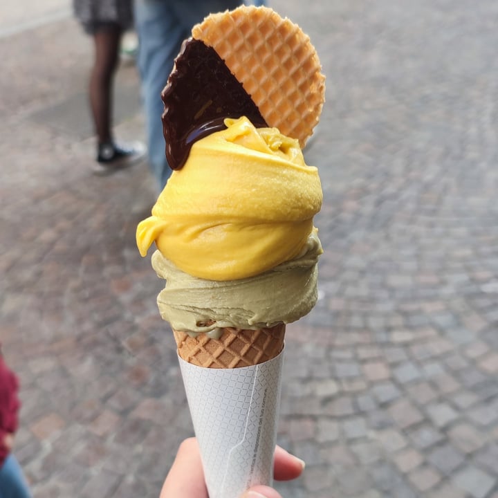 photo of Toldo Gelateria mango e pistacchio shared by @laurapalumbo on  28 Apr 2024 - review