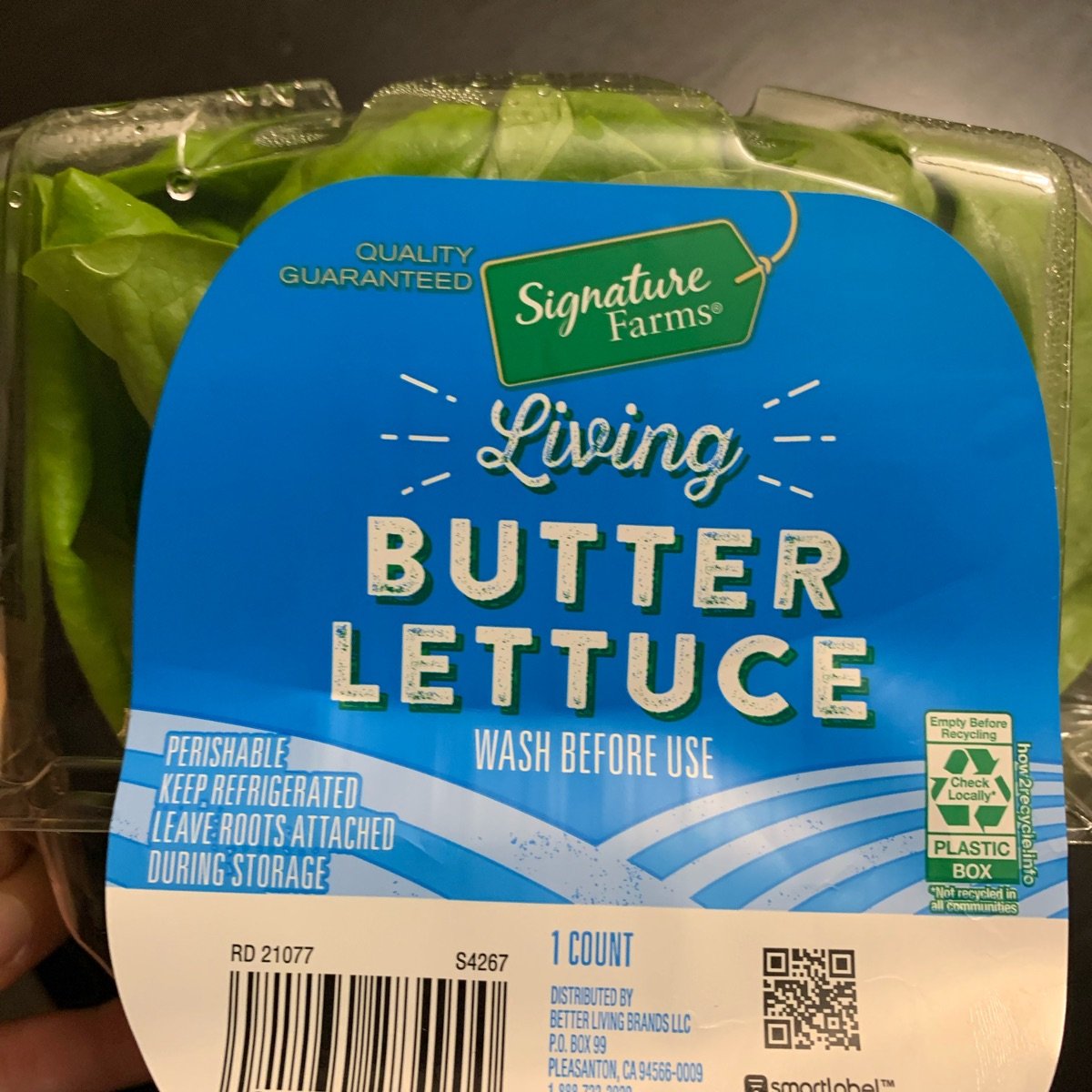Signature Farms Butter Lettuce Reviews abillion