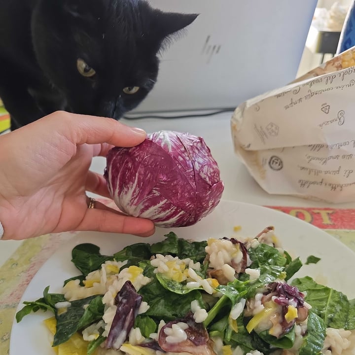 photo of Unes Radicchio shared by @alvi2957 on  28 Feb 2025 - review