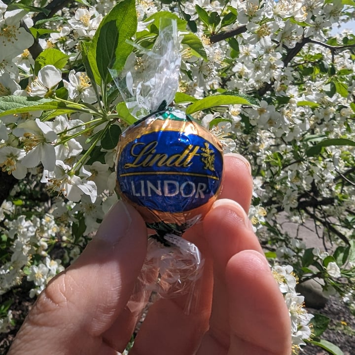 photo of Lindt non dairy dark truffle shared by @kristig on  18 Apr 2024 - review